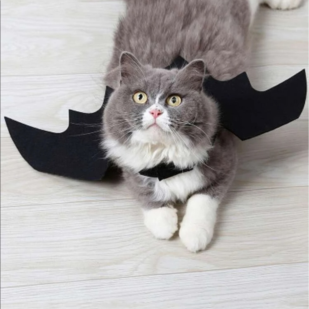 1pc Cat Solid Bat Wing 🐈